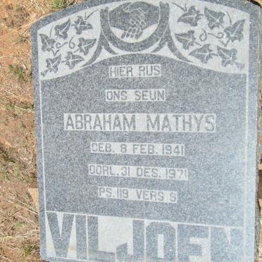 VILJOEN Abraham Mathys 1941-1971