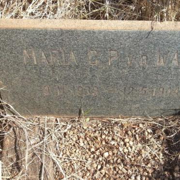 North West, BRITS district, Zoutpansdrift 415 JQ, farm cemetery_1