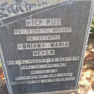 MEYER Adriana Maria nee DU PLESSIS 1879-196?