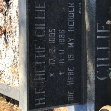 CILLIE H.F. 1885-1986
