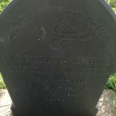 North West, BRITS district, Beestkraal 199, farm cemetery_6