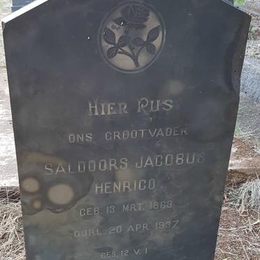 HENRICO Saldoors  Jacobus 1863-1937