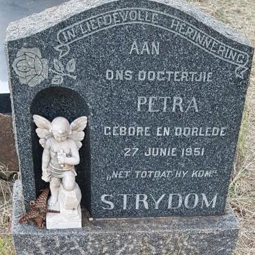 STRYDOM Petra 1931-1931