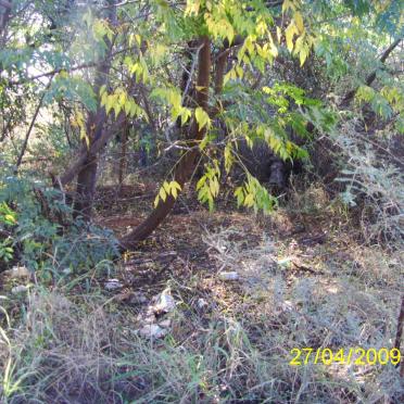 1. Overview - cemetery between the bushes
