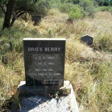BERRY Dries 1959-1987
