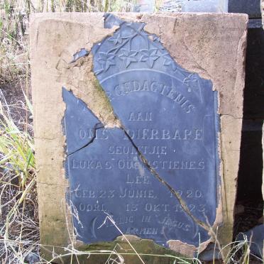 North West, BRITS district, Zilkaatsnek 439 JQ, farm cemetery_2