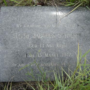 STRAUSS David Jacobus 1880-1947