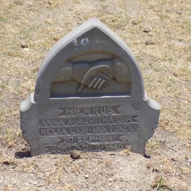 ? Anna Magritha Cornelia nee VAN TONDER 1887-1940