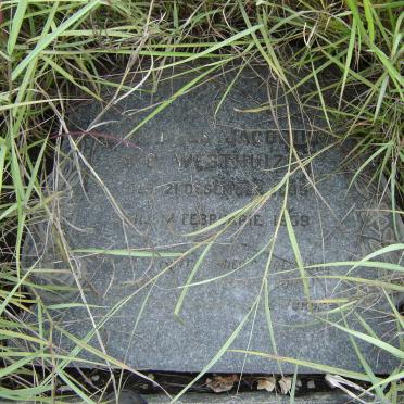WESTHUIZEN ? Jacobus, v.d. 1895-1959