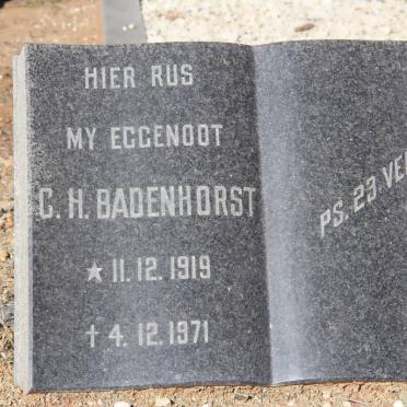BADENHORST C.H. 1919-1971