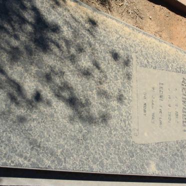 NIEUWOUDT Leoni 1960-1981