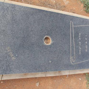VICTOR Hannelie 1973-1978
