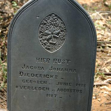 DIEDERICKS Jacoba Johanna 1913-1917