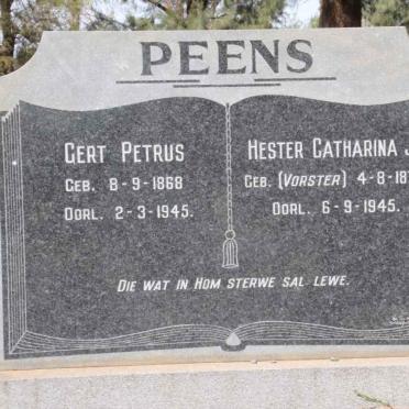 PEENS Gert Petrus 1868-1945 &amp; Hester Catharina J. VORSTER 1871-1945