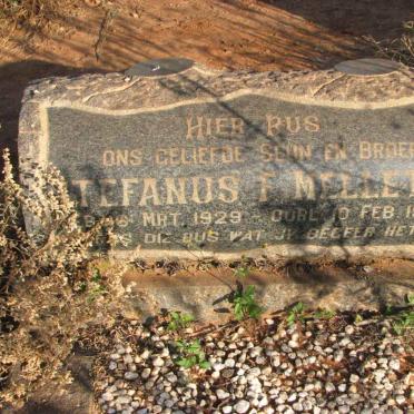 MELLETT Stefanus F. 1929-1962