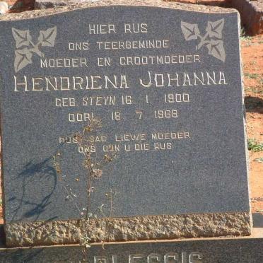 PLESSIS Hendriena Johanna, du née STEYN 1900-1968