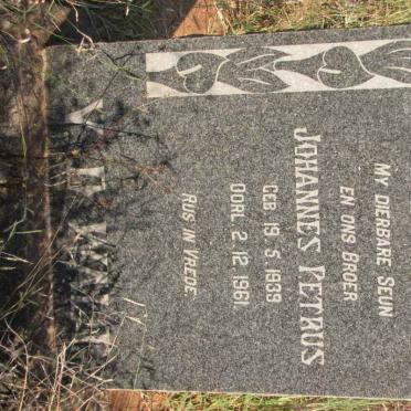 WALT Johannes Petrus, van der 1939-1961