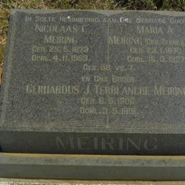 MEIRING Nicolaas C. 1873-1953 &amp; Maria A. TERBLANCHE 1870-1937 :: MEIRING Gerhardus J. Terblanche 1906-1919