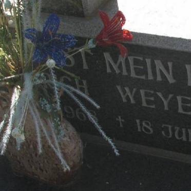 WEYER ?rich 1968-1993