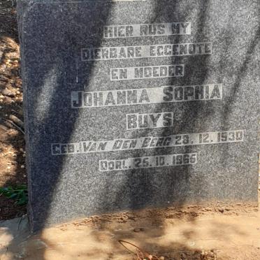North West, DELAREYVILLE district, Sannieshof, Tweebosch 318, farm cemetery