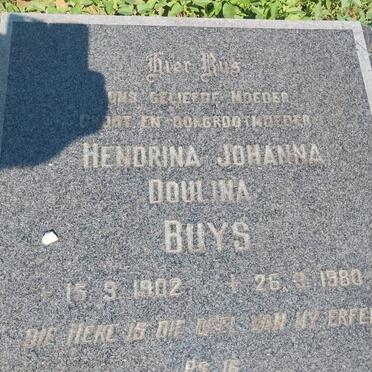 North West, DELAREYVILLE district, Sannieshof, Tweebosch 318_1, farm cemetery