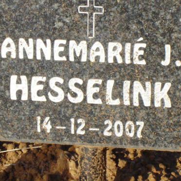 HESSELINK Annemarie J. -2007
