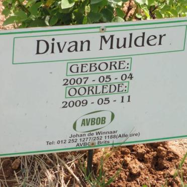 MULDER Divan 2007-2009