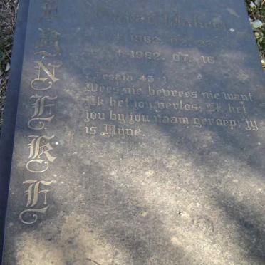 REYNEKE Gawie 1962-1982