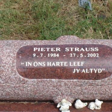 STRAUSS Pieter 1984-2002