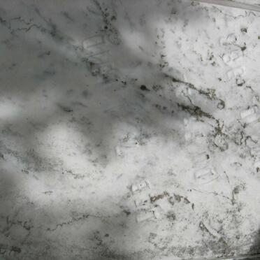 STRYDOM Martha Sophia 1910-1983