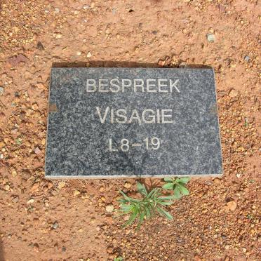 VISAGIE