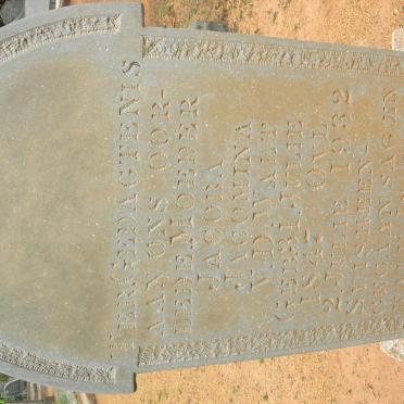 WALT Jacoba Jacomina, v.d. 1847-1932
