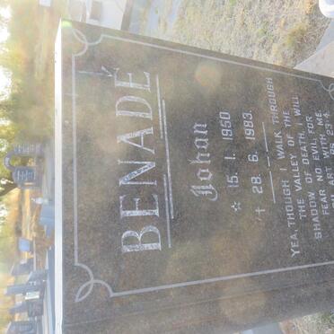BENADE Johan 1950-1983
