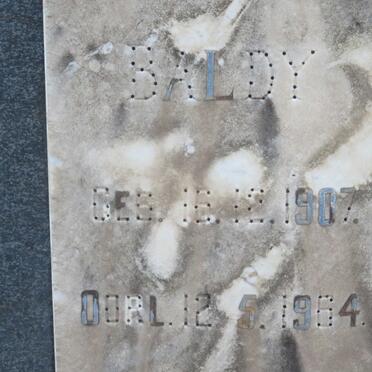 BRUYN Baldy, de 1907-1964