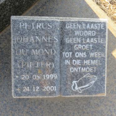 DUMOND Petrus Johannes 1999-2001