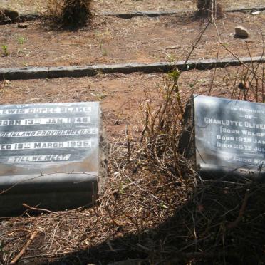 BLAKE Lewis Dupee 1848-1936 &amp; Charlotte Oliver WELSFORD 1858-1925