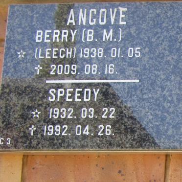 A - Surnames :: Vanne - A 
