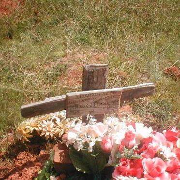 OOSTHUIZEN J.H. 1931-2000