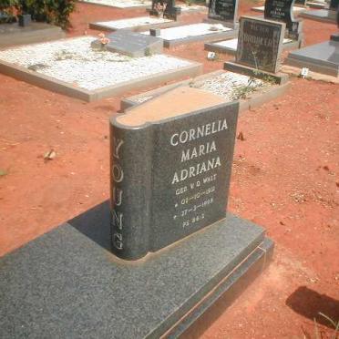 YOUNG Cornelia Maria Adriana nee V.D. WALT 1912-1998