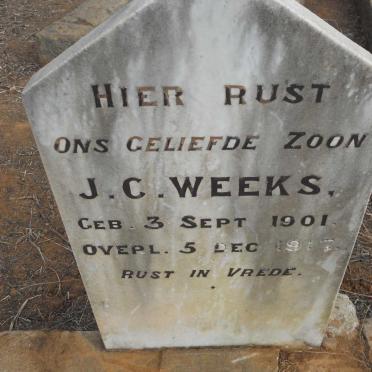 WEEKS J.C. 1901-1917