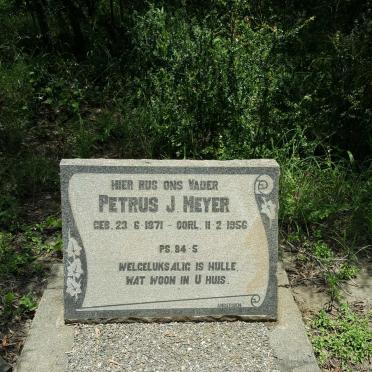 MEYER Petrus J. 1871-1956