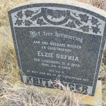 KRITZINGER Elzie Sophia nee LIEBENBERG 1875-1965