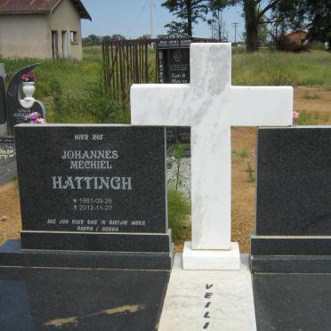 HATTINGH Johannes Mechiel 1981-2012