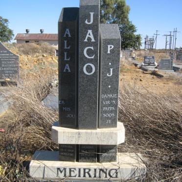 MEIRING Jaco 1968-2001 &amp; Alla 1968- :: MEIRING P.J. 1995-
