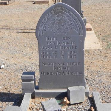 BESTER Anna E. 1916-1917