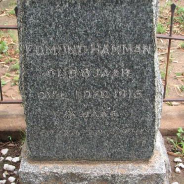 HAMMAN Edmund -1915