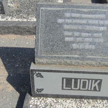 LUDIK Andries Johannes 1889-1976