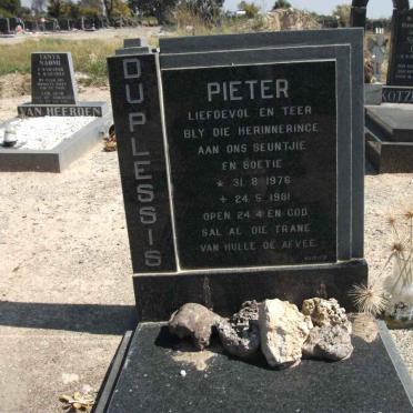 PLESSIS Pieter, du 1976-1981