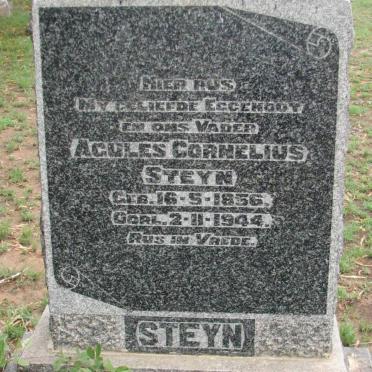STEYN Agules Cornelius 1856-1944