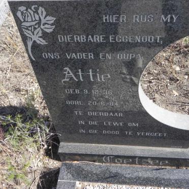 COETZEE Attie 1936-1984